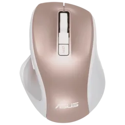 Asus MW202