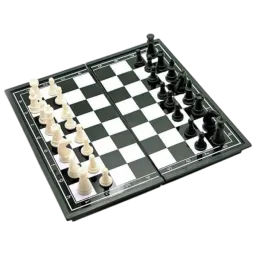 Joc de masă Arenasport Magnetic chess