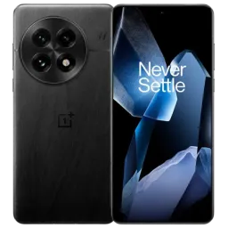 OnePlus 13