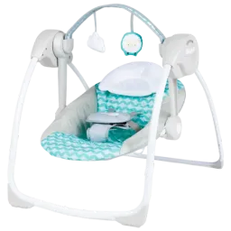 Bright Starts Swingity Swing Goji