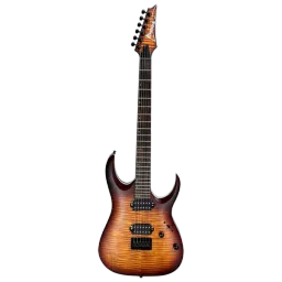 Chitară electrică Ibanez RGA42FM-DEF