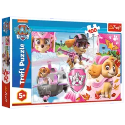 Puzzle Trefl Skye in action