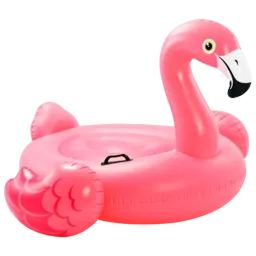 Intex 57558