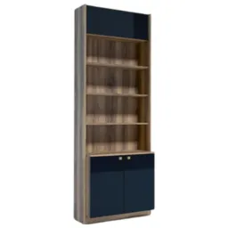 Dulap cu vitrină Indart 14