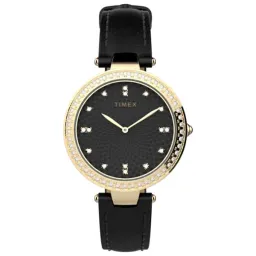 Timex TW2V45100