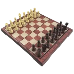 Joc de masă Arenasport Magnetic chess
