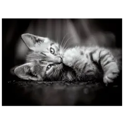 Clementoni Kitty 10+/ Numărul de piese: 1000