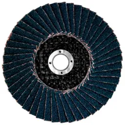 Disc de șlefuit Metabo 626876000