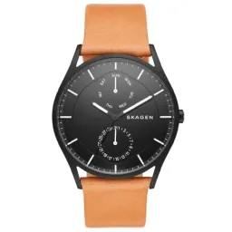 Skagen SKW6265