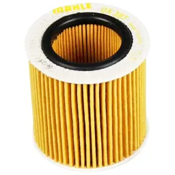 Mahle OX 387D1