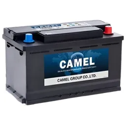 Camel Start-Stop Starter