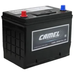 Camel B24R
