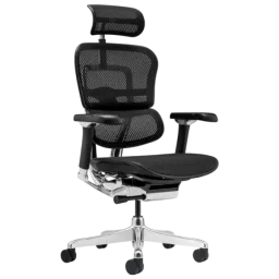 ART Ergohuman Luxury 2