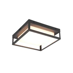 Plafoniera Trio Witham 14W 1550lm (Anthracite)