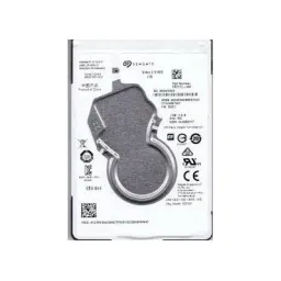 Seagate ST1000VT001