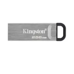 USB-накопитель 256GB Kingston DataTraveler Kyson, Silver, (DTKN/256GB)