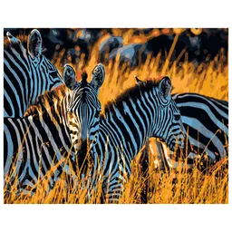 Pictură pe numere Strateg Zebra DY060