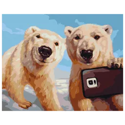 Pictură pe numere BrushMe Polarogram BS53479FC