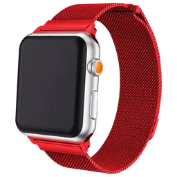 Apple Watch 42 / 44