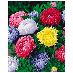 Pictură pe numere BrushMe Astre colorate BS54120FC