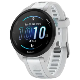 Garmin Forerunner 165 Music Mist
