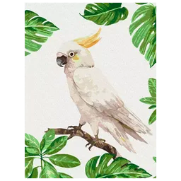 Pictură pe numere BrushMe Cacatua alb RBS1004FC