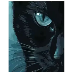 Pictură pe numere Strateg Privire rece DY305