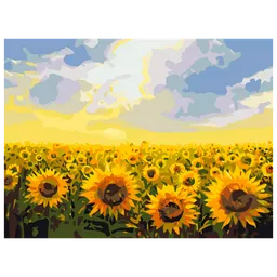 Pictură pe numere BrushMe Câmp de floarea-soarelui RBS135FC