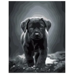 Pictură pe numere Strateg Labrador DY277