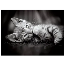 Clementoni Kitty
