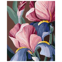 Pictură pe numere BrushMe Biluhina BS53760