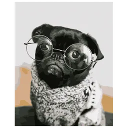Pictură pe numere Strateg Puggy cu ochelari DY107