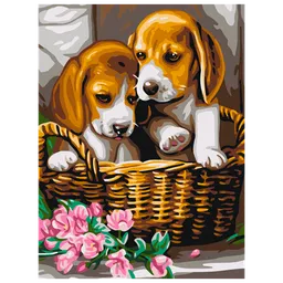 Pictură pe numere BrushMe Perechea din coș RBS29695FC