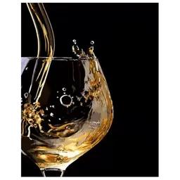Pictură pe numere Strateg Pahar de vin DY371