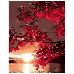 Pictură pe numere Strateg Apusul roșu DY427