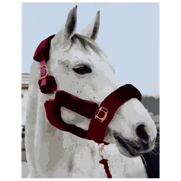 Pictură pe numere Strateg Sufletul Prerilor DY382