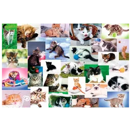 Puzzle Trefl Cat's World