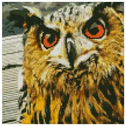 Pictură pe numere Strateg Bufnița CA-0050 30 x 30 cm, Pânză