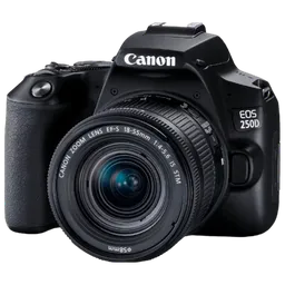 Canon EOS 250D + EF-S 18-55mm F4-5.6 IS STM
