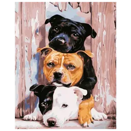 Pictură pe numere Strateg Trei Pidbull GS1013