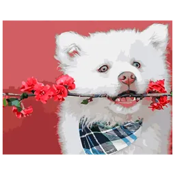 Pictură pe numere Strateg Domnul în alb GS948