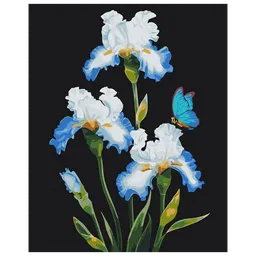 Pictură pe numere BrushMe Iriși BS53915