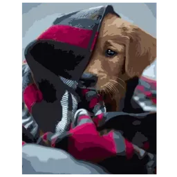 Pictură pe numere Strateg Câine sub o pătură GS1296