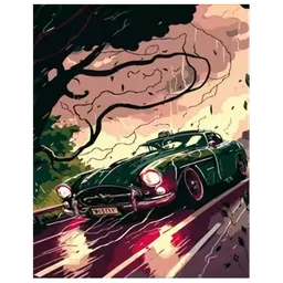 Pictură pe numere Strateg Viteza in ciuda vântului DY392