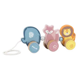 Jucărie de împins și tras VIGA 44023 Multicolor