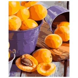 Pictură pe numere Strateg Caise VA-3573