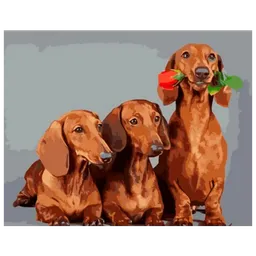 Pictură pe numere Strateg Trei teckeli GS924