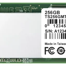 SSD Transcend 220S TS256GMTE220S