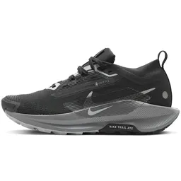 Incaltaminte Sport Nike W PEGASUS TRAIL 5 GTX pt Femei / 37.5 / Negru