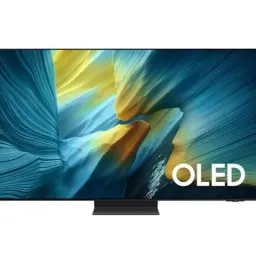 Samsung QE55S95FAUXUA